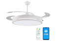LEDUNI Ventilador de Techo 50 cm con Luz LED y Aspas Retráctiles